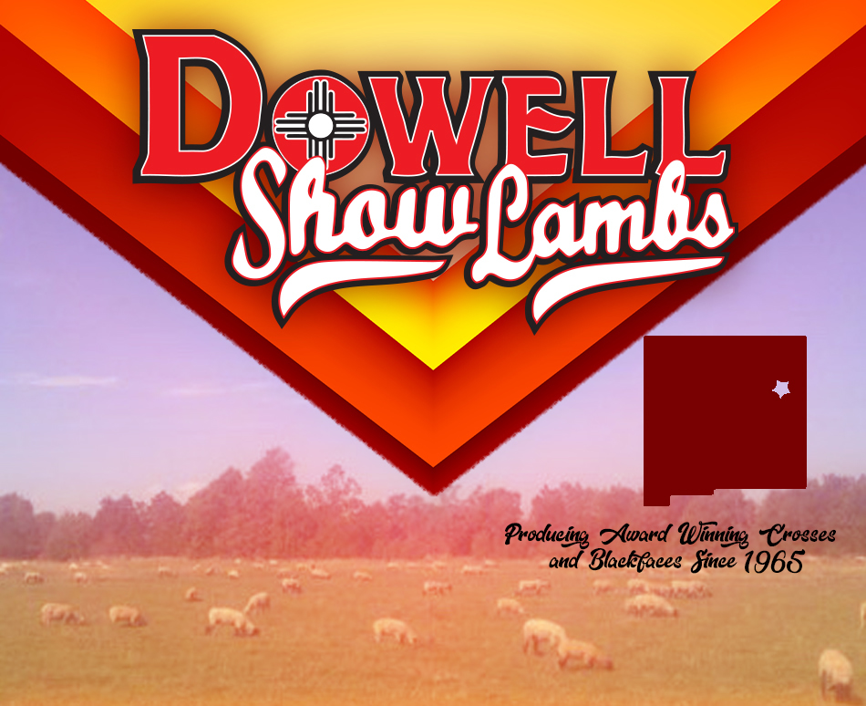 Dowell Show Lambs