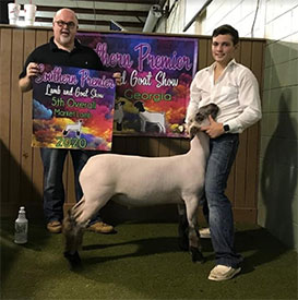 Dowell Show Lambs Winners